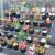 San Pedro Cactus, Succulents, plants, Bird houses, Plant boxes & more 23 thumbnail