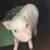 Juliana Mini Pig 3 thumbnail