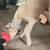 Doberman 1 thumbnail