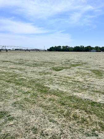 Hay Horse quality round bales - $120 (10520 West  Loop 1604 South)63471407942529121