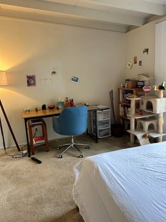 $1,700 / 3br - Friendly home with MBR and ensuite available (mountain view)63928542322306123