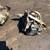 💲★ 2013-2014 CHEVY SONIC - AUTOMATIC TRANSMISSION - #M17552 ★💲 1 thumbnail