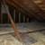Jeffs Attic Clean Up Radiant Barrier Rats in Attic Removal Free Inspec 22 thumbnail