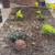 R Landscape 6 thumbnail