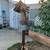 Rustic Cedar Birdhouse 2 thumbnail