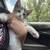 KITTENS 2 thumbnail