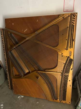 The inside of a piano 1