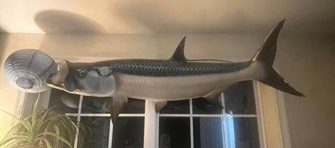 Two Big Mounted fish 1