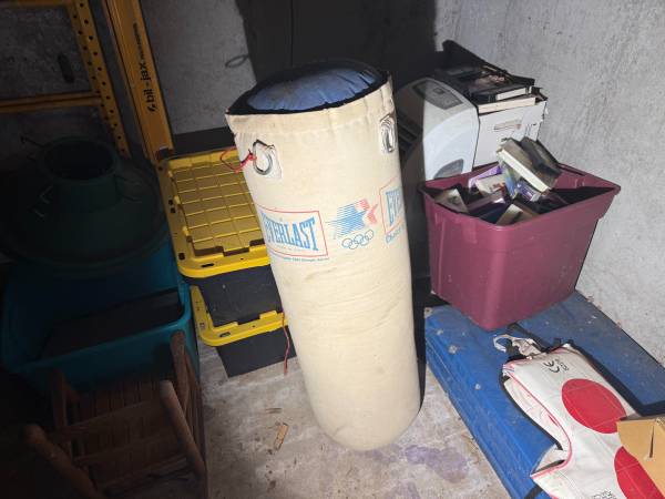 everlast punching bag 1