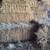 Grass hay 3 thumbnail