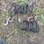 Spring coiled tow cables 1 thumbnail