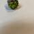 Silver Peridot Ring 6 thumbnail