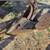Old Antique JOHN DEERE plow with STEEL WHEELS Yard Art 5 thumbnail