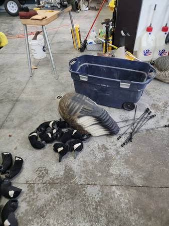 goose decoy shells 1