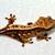 Crested Geckos 2 thumbnail