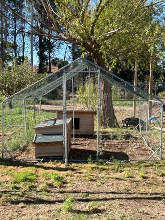 Chicken cage 1