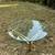 Vintage mid century modern brass and glass top coffee table 3 thumbnail