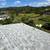 Experienced Roofers Wanted - Hawaii Relocation 12 thumbnail