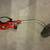 Black Decker Electric String Trimmer 1 thumbnail