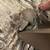 Cat 1 thumbnail