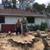 Advanced Tree  Systems Trimming, & Removals Arborist  Lic.Ins. 3 thumbnail