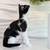 Kitten Batman 9 thumbnail