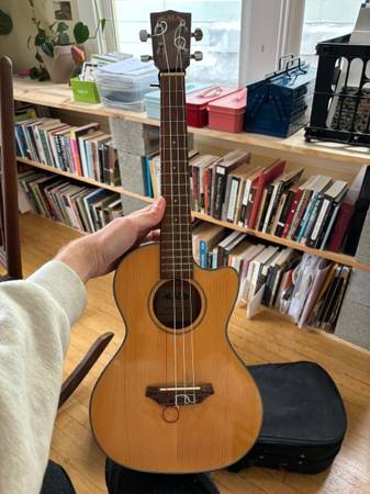 kala ukulele 1