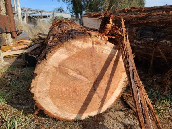 REDWOOD LOGS FOR SALE - $100 (novato)63471437825027123