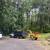 TREE SERVICE 9 thumbnail