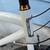 Large 19" Specialized Globe Vienna 1.0 Hybrid Bike 21-speed 8 thumbnail