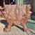 Victorian Figural Carved Caryatids 7 thumbnail