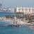Sayan Lower Penthouse Available   Oct. 11   3 Br 3 Ba. 11 thumbnail