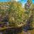 Lake front lot for sale $120000.   .9 acres 5 thumbnail