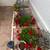Lovely 2 br Home in a Quiet Neighborhood in a Prime UC Location 23 thumbnail