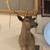Taxidermy Deer Mount 1 thumbnail