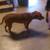Pet Sitting & Boarding- Horses-Dogs-Cats-Farm Animals 20 thumbnail
