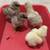 Silkies, Ameraucanas, & Mille Fleur d’Uccles 6 thumbnail