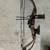 compound bow 1 thumbnail