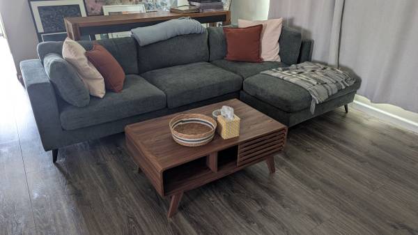 Mid-Century Modern Coffee Table & Entertainment Center 1