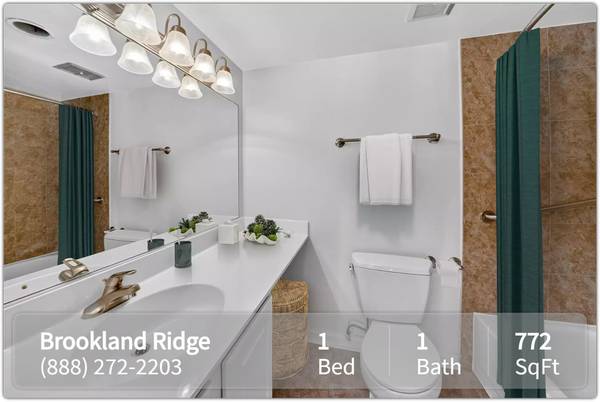 Range and appliances included. Fully equipped kitchen 1
