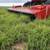 8% Protien Bluestem Grass Hay Round Bales early cut - 2023 7 thumbnail