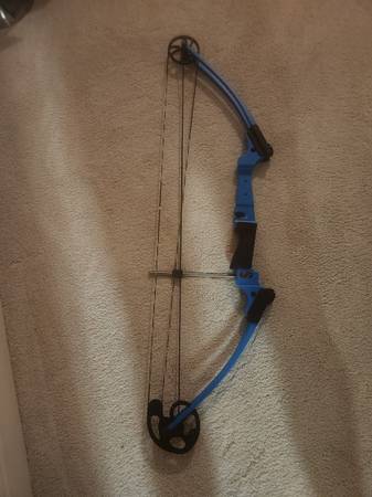 Genesis Compound Bow 1