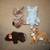 Beanie Babies 15 thumbnail