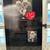 Christmas - Barbie Collector Series - "I Love Lucy Doll" 2 thumbnail