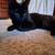 Black Kitten 7 thumbnail