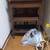 Multiple household items in Kawasaki ward, Oshima 1 chome 15 thumbnail