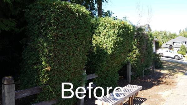 LANDSCAPING, RETAINING WALLS, FENCING, PAVER PATIOS, MULCH, GRAVEL 1