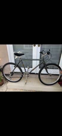 BICICLETA DE MONTAÑA BIANCHI VINTAGE DE PRINCIPIOS DE LOS AÑOS 80, RARA - REACONDICIONADA 20"/51 CM - $525 (LOS GATOS)63471435844867120