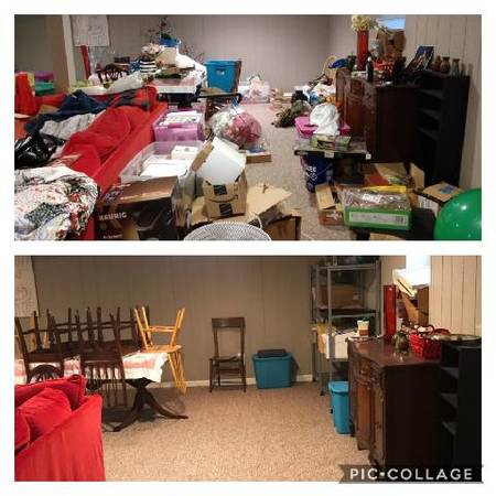 Professional Organizer / Organizing consultant 1