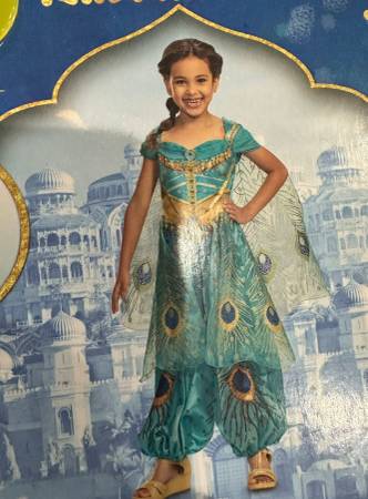 Disney Aladdin Jasmine Costume 1
